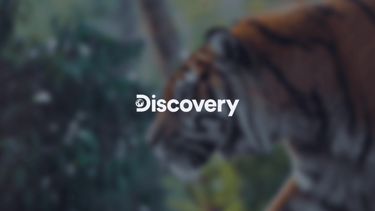 Case Study: GraphCMS and Discovery
